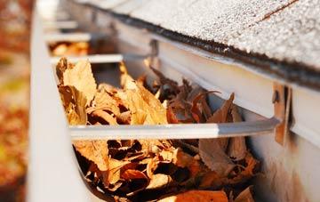 Winterbourne Dauntsey gutter cleaning companies